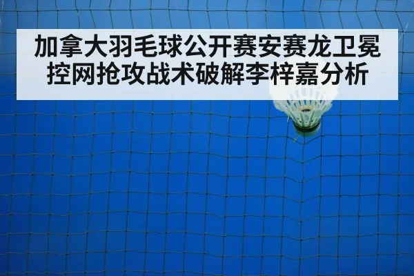 badminton net play